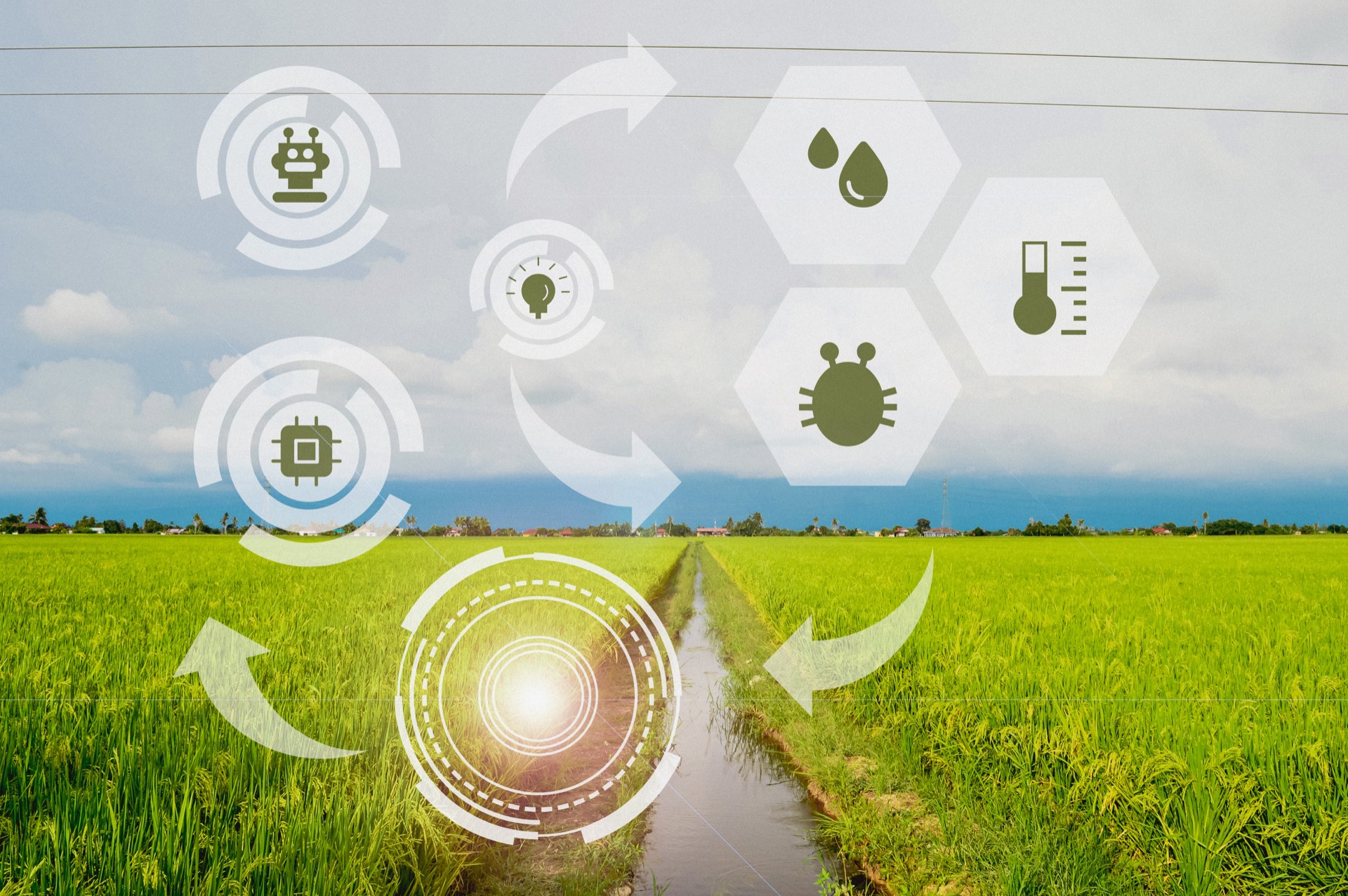 Diagnóstico y alcance